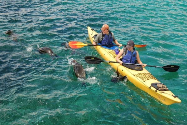  Kayak Experience 